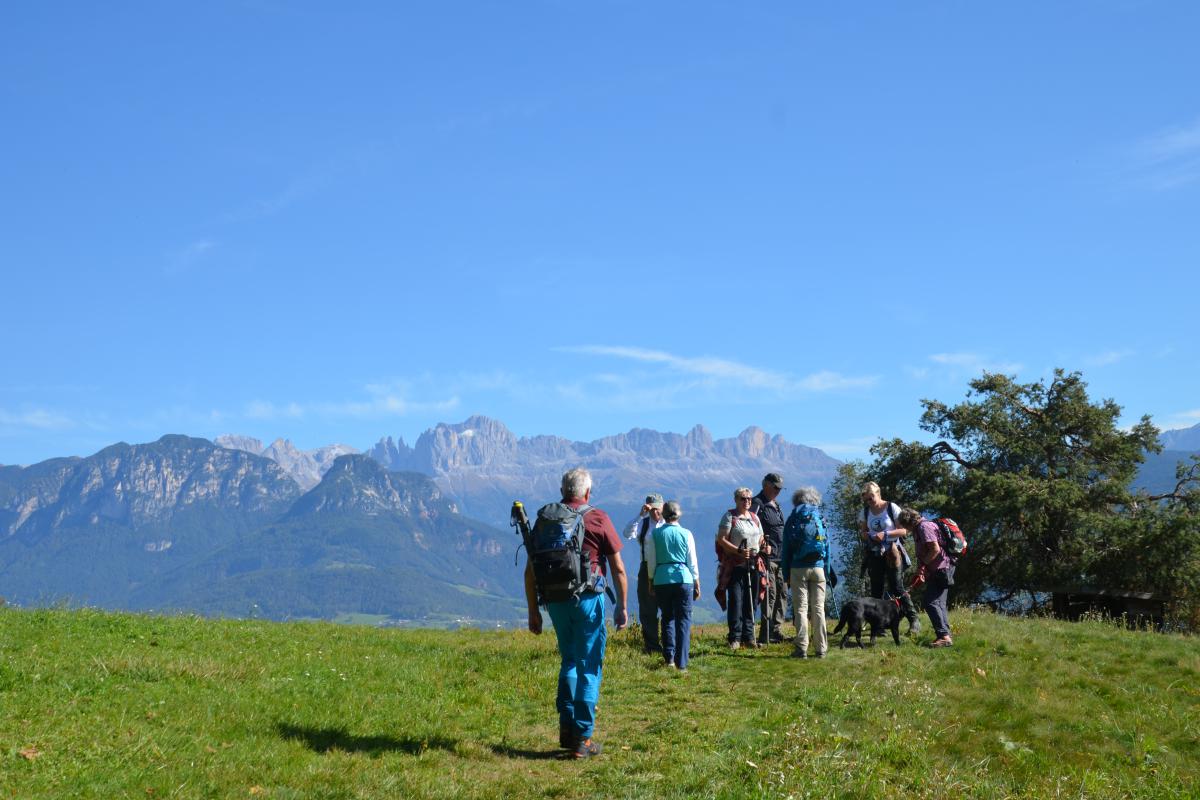 Partschonehof 20.06.2022